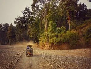 Welocme to the Paradise of Elephants - Rajaji National Park