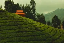 Ooty Tour Packages