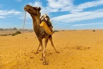 Jaisalmer Tour Packages