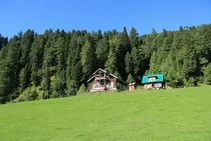 Pahalgam Tour Packages