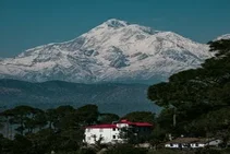 Ranikhet Tour Packages