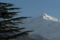 Munsiyari Tour Packages