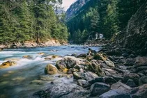 Kasol Tour Packages