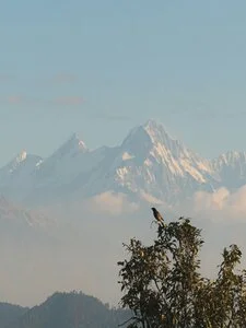 Munsiyari
