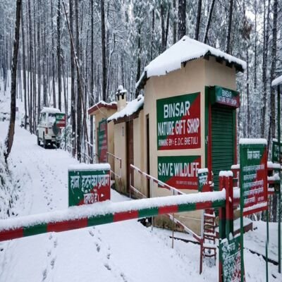 How to Reach Binsar