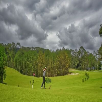 Things to do in Ranikhet