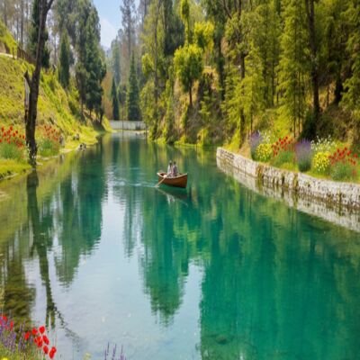 How to Reach Ranikhet