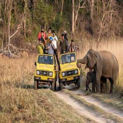 Places To Visit In Jim Corbett