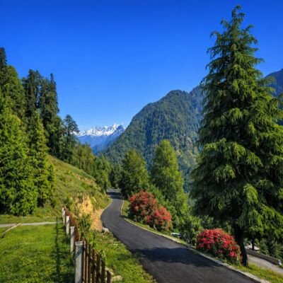 Best Time to Visit Chopta