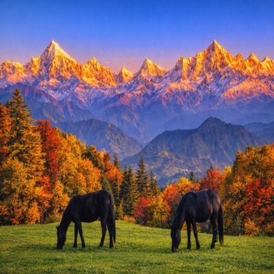 How to Reach Munsiyari