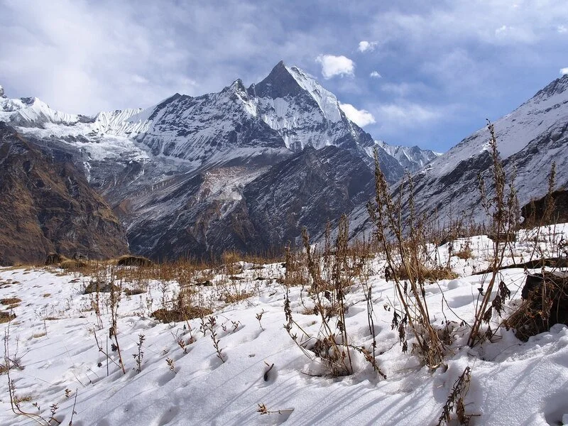 Chardham Tour Package from Patna