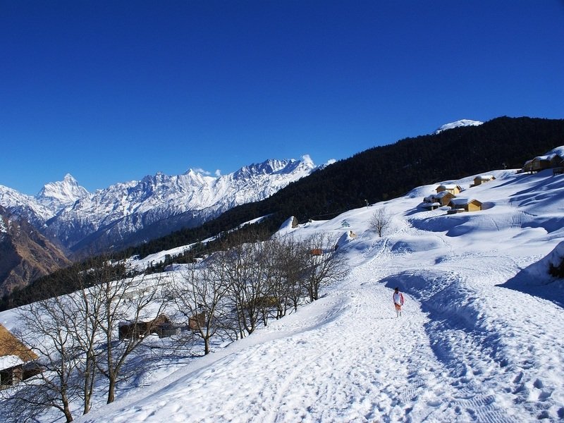 Auli Tour Package From Chandigarh