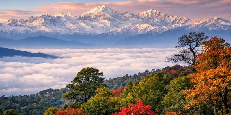 Kausani Tour Packages