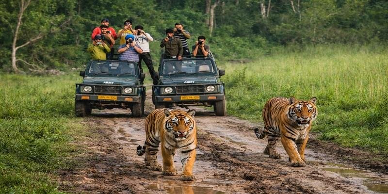 Jim Corbett Tour Packages