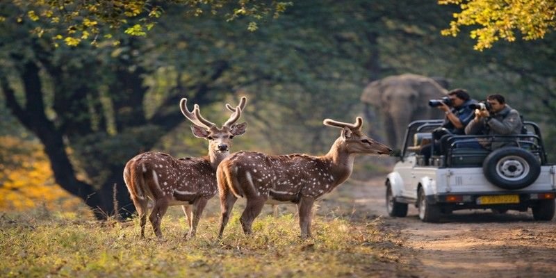 Jim Corbett National Park