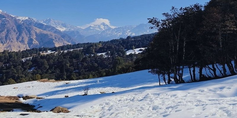 Auli Trip