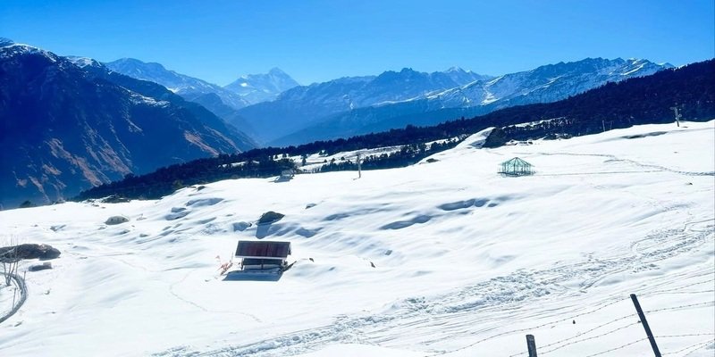 Auli Trips