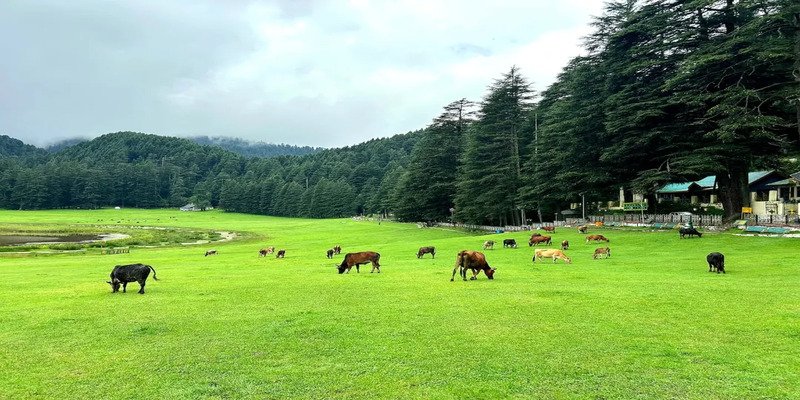 Himachal Tour Packages