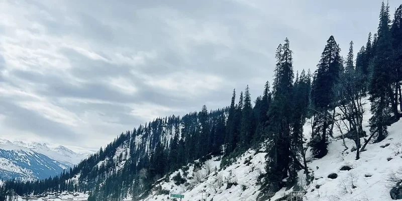Himachal Trips