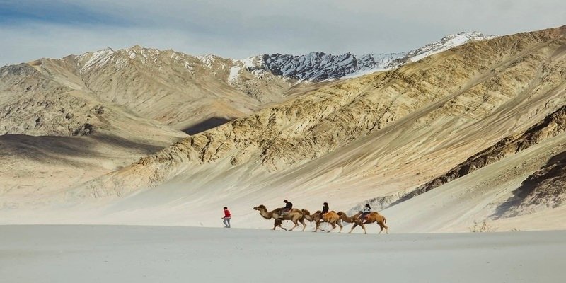 Nubra Valley