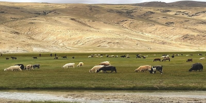 Ladakh