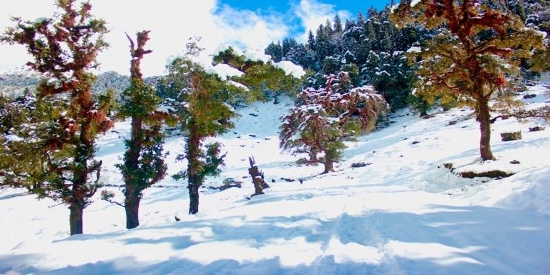 Chopta Tour Package