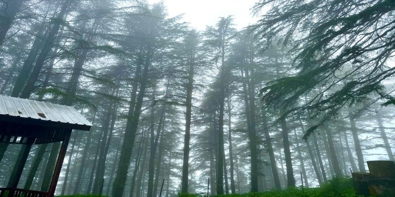 Mussoorie in Uttarakhand Packages