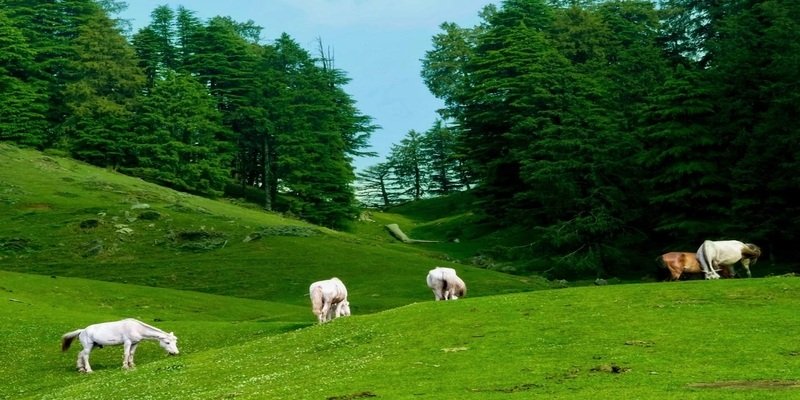 Travel packages for Uttarakhand