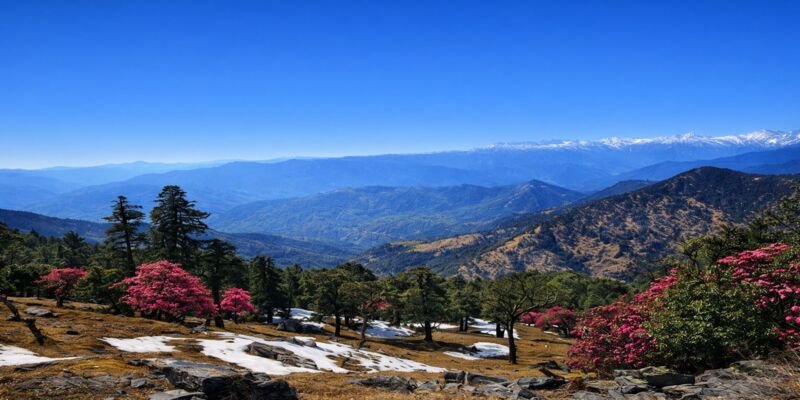 Chopta