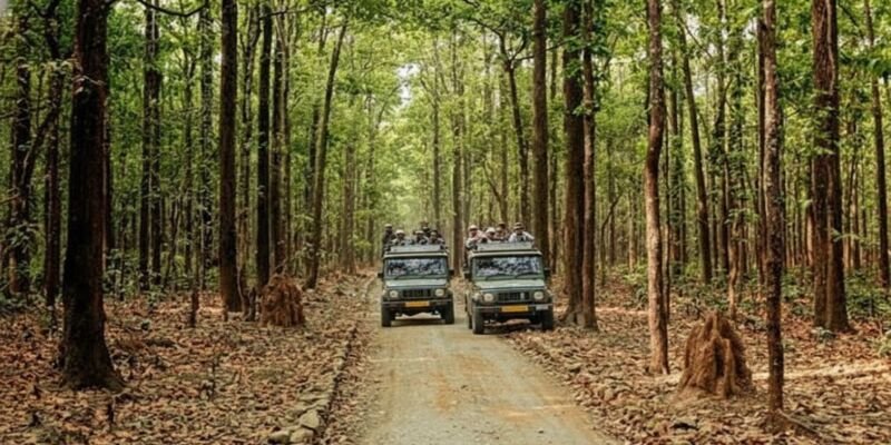 Jim Corbett National Park